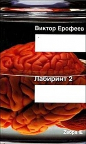 Лабиринт Два. Остается одно: Произвол - автор Ерофеев Виктор Владимирович 