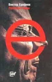 Лабиринт Один: Ворованный воздух - автор Ерофеев Виктор Владимирович 