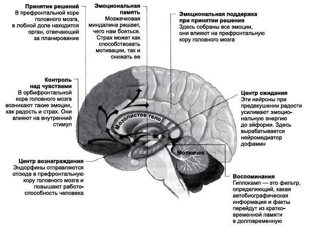 Как помочь школьнику? Развиваем память, усидчивость и внимание - _020r.jpg