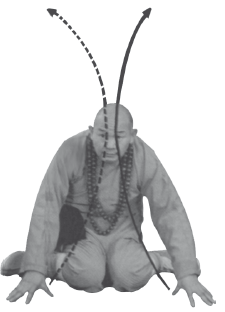 Гимнастика Бодхидхармы - i_065.png