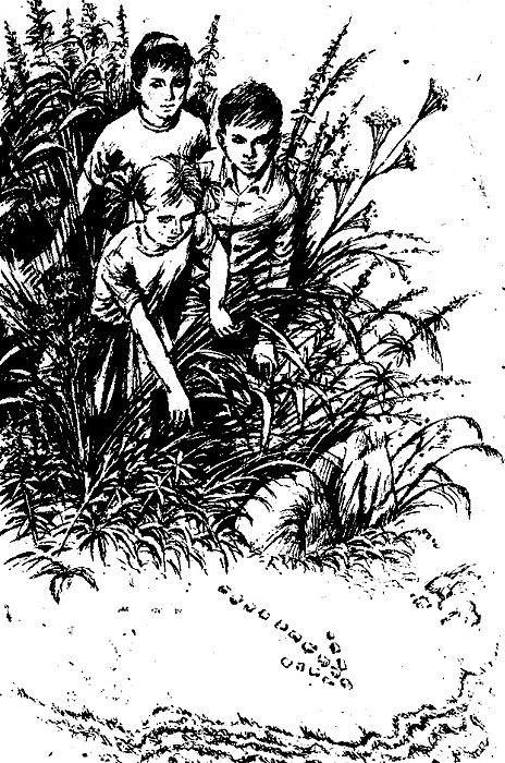 «Бор-Бос» поднимает паруса - i_005.jpg