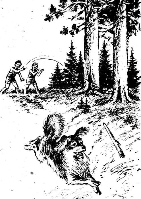 «Бор-Бос» поднимает паруса - i_009.jpg