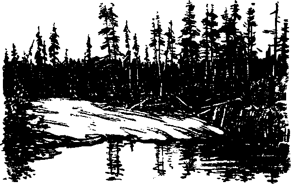 Тайна сибирской платформы - p0150.png