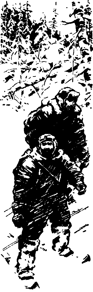 Тайна сибирской платформы - p0180.png