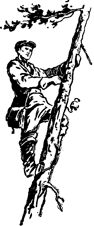 Тайна сибирской платформы - p0241.png