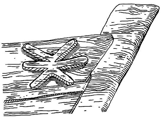 Символы и знаки. Арканы Таро, коды тайных обществ и значения древних артефактов - i_170.jpg