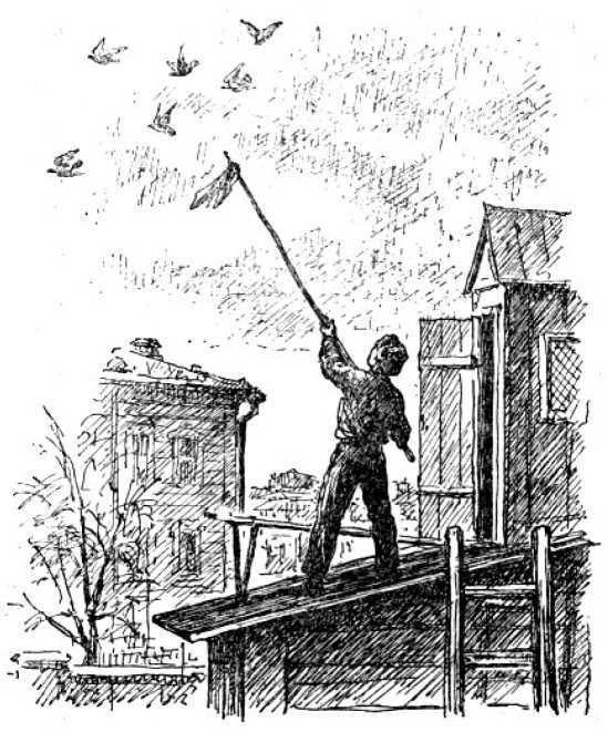 Черный Дракон - image12.jpg