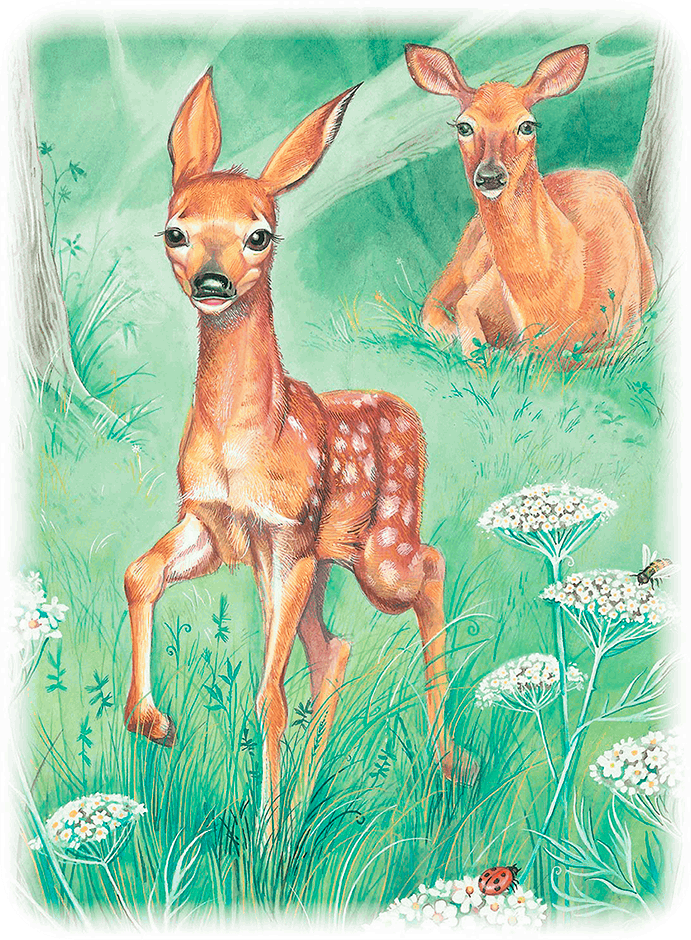 Бемби (с илл.) - i_012.png