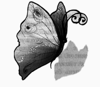 В поисках йети - img22.png