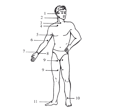 Справочник неотложной помощи - i_015.png