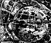 Пригоди. Подорожі. Фантастика - 89 - doc2fb_image_03000012.png