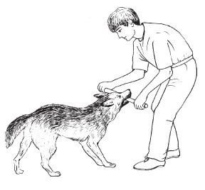 Словарь дрессировщика - i_006.jpg