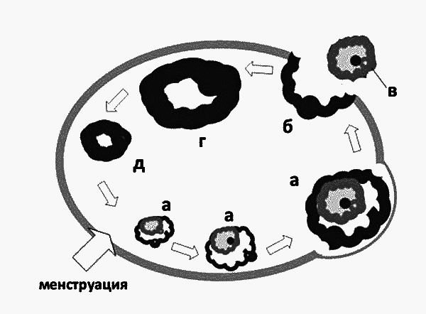 Бесплодие – не приговор! - _01.png