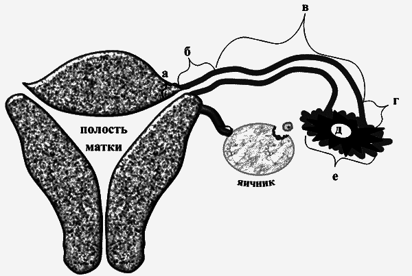 Бесплодие – не приговор! - _02.png