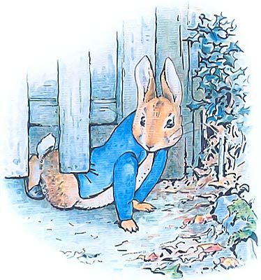 Кролик Питер и его друзья - i_011.jpg