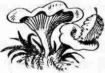 У нас в 5 «Б» - i_055.jpg