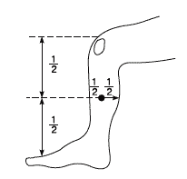 Законы полноценного здоровья - _070_2.png