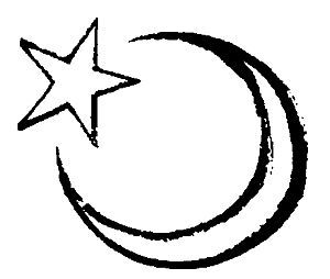 Арабские страны: обычаи и этикет - i_005.jpg