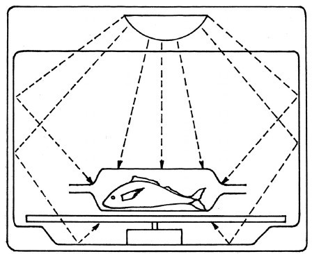 Готовим в микроволновой печи - i_008.jpg