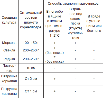 Всё о семенах овощных культур - i_007.png