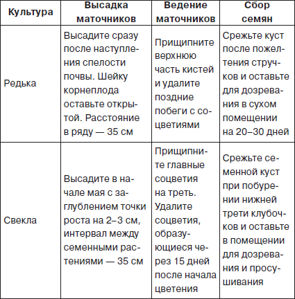 Всё о семенах овощных культур - i_008.png