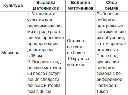 Всё о семенах овощных культур - i_009.png