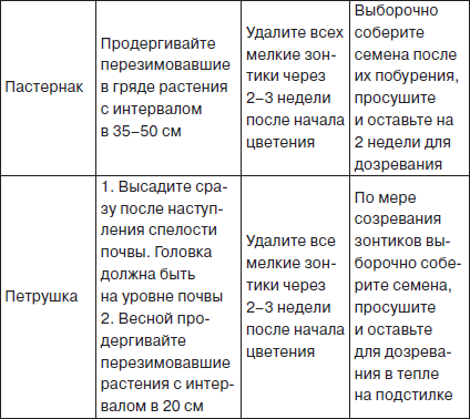 Всё о семенах овощных культур - i_010.png