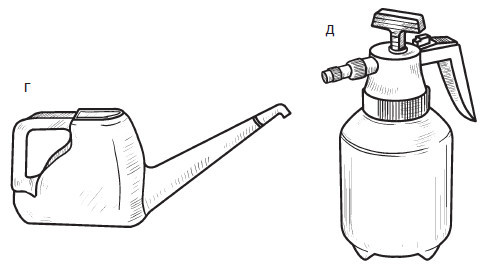 Комнатные деревья и кустарники: лимон, вишня, гранат, можжевельник, акация, жасмин и многие другие - i_039.jpg