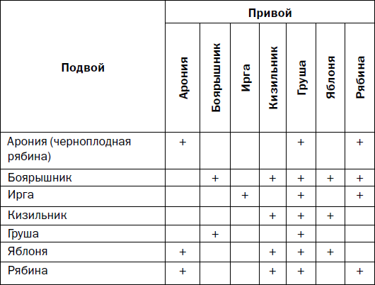 Прививка плодовых деревьев: распространенные ошибки и секреты успешной прививки - i_007.png