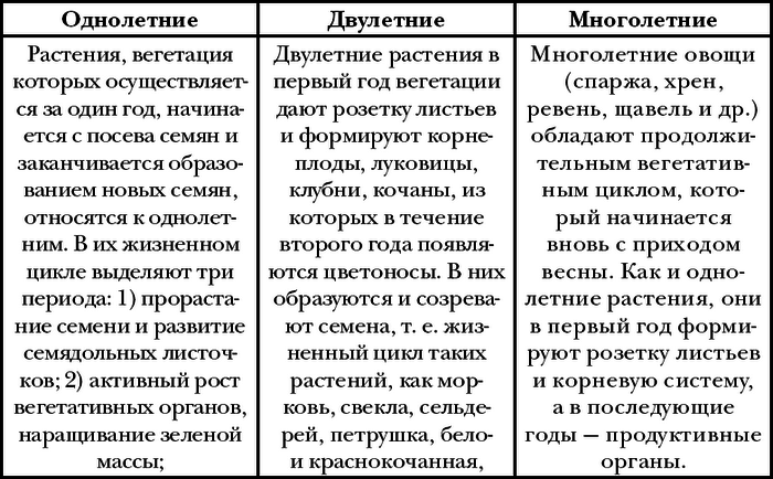 Урожай круглый год - i_003.png