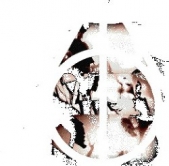 Е2-Е4 или совсем другая история. Часть 2. Ученик Хогвартса (СИ) - автор 