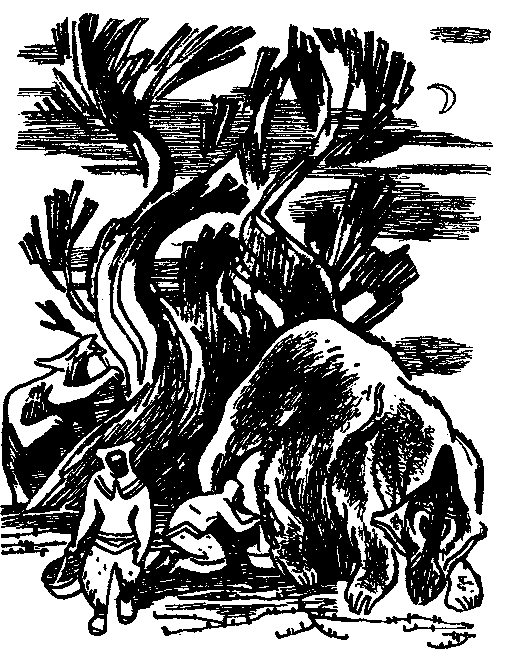 Марс пробуждается - pic_36.png