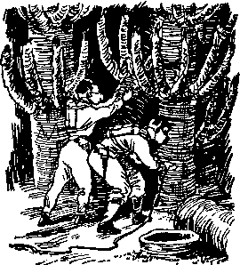 Миры неведомые - pic_16.png