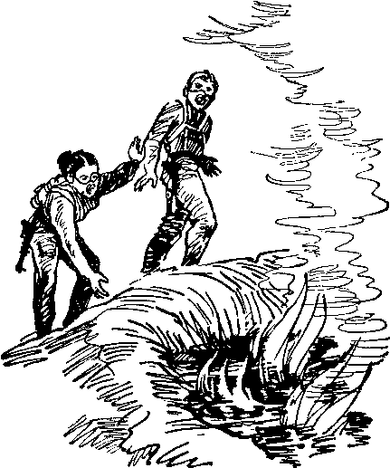 Миры неведомые - pic_24.png