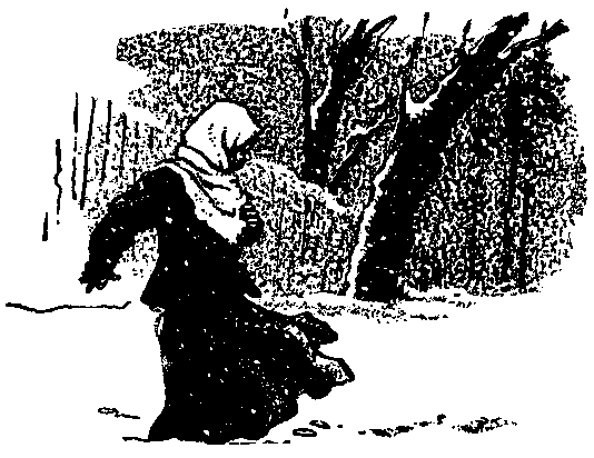 Ястребки - pic_11.png