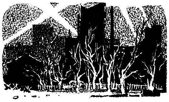 Ястребки - pic_21.png