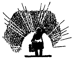 Ястребки - pic_26.png