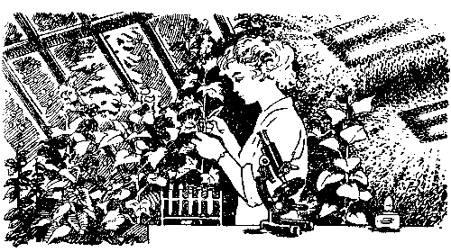 «Защита 240» (с илл.) - pic_3.png