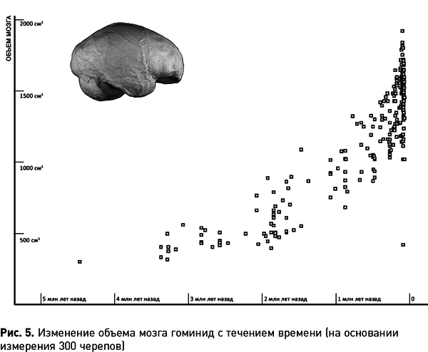 Мифы об эволюции человека - i_015.png