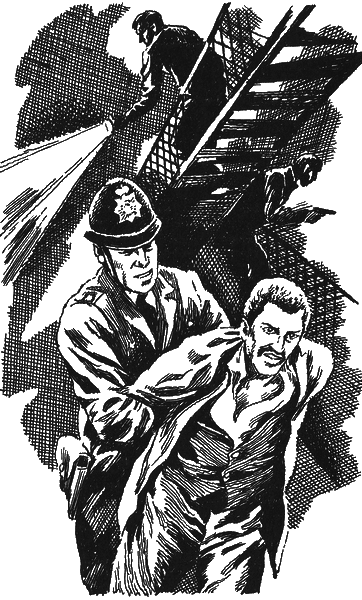 Дом тихой смерти (сборник) - i_001.png