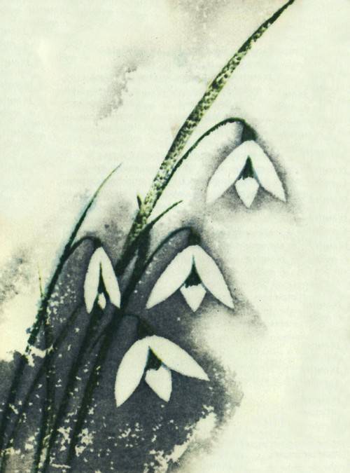 Сказки о цветах - i_003.jpg