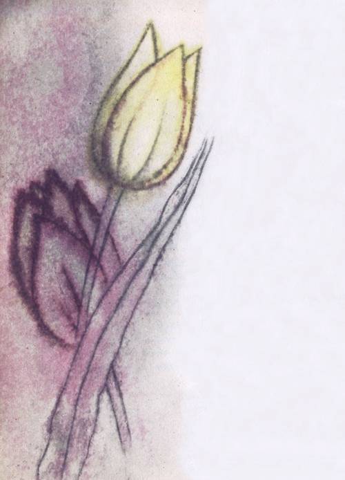 Сказки о цветах - i_004.jpg