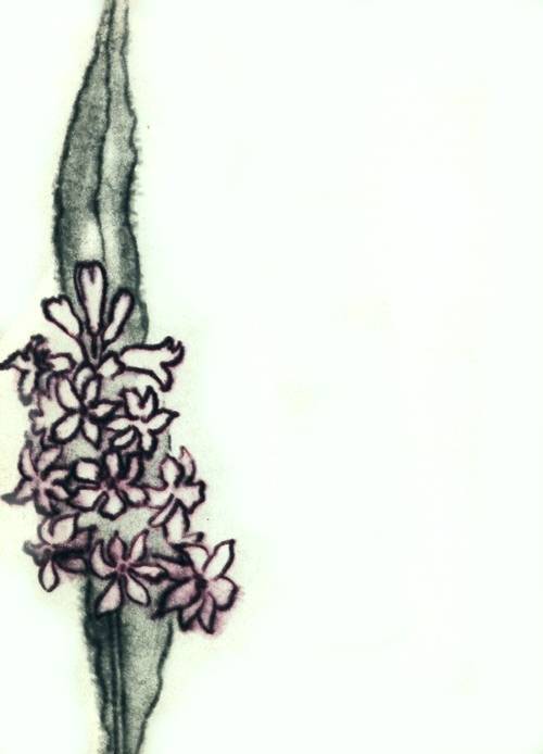 Сказки о цветах - i_007.jpg