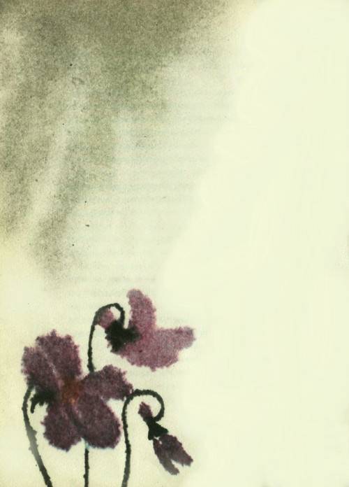 Сказки о цветах - i_011.jpg