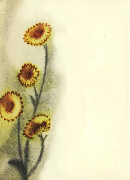 Сказки о цветах - i_022.jpg