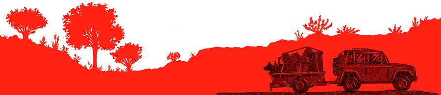 Рыжий пёс - i_003.png