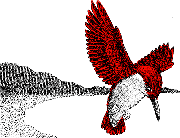 Рыжий пёс - i_005.png