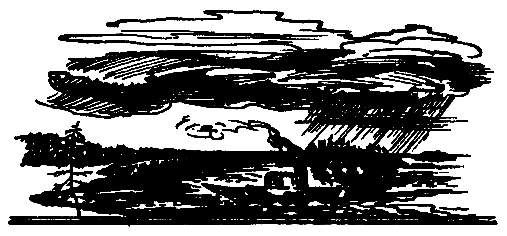 Знак синей розы - pic_6.png