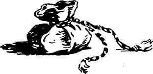 К вам идет почтальон - img_11.jpeg