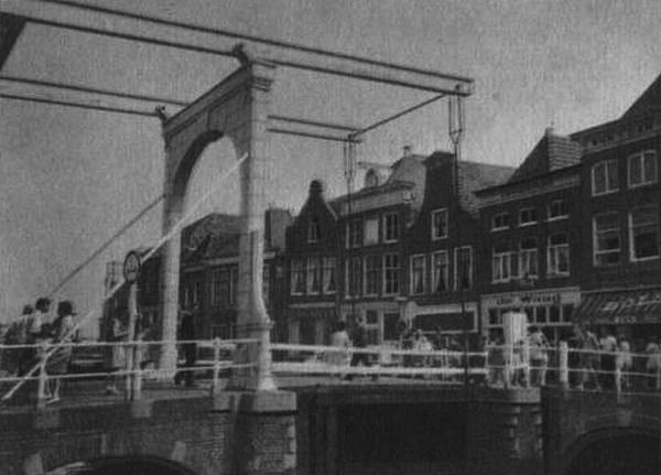 Тюльпаны, колокола, ветряные мельницы - _18.jpg